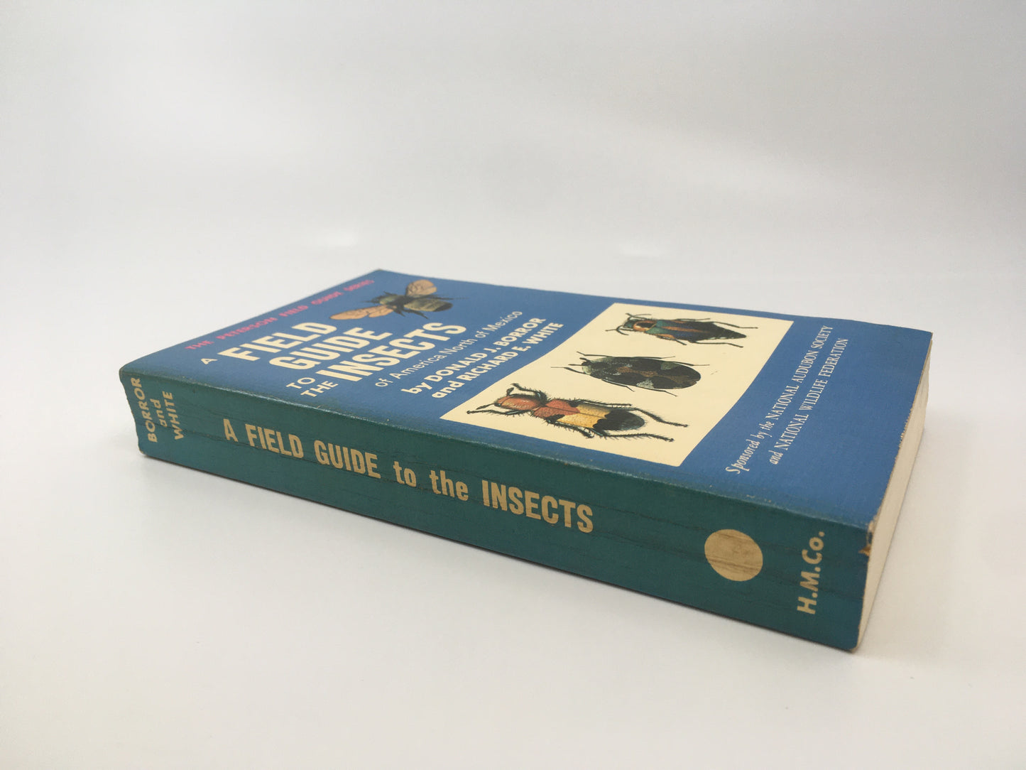 A Field Guide to the Insects of America North of Mexico