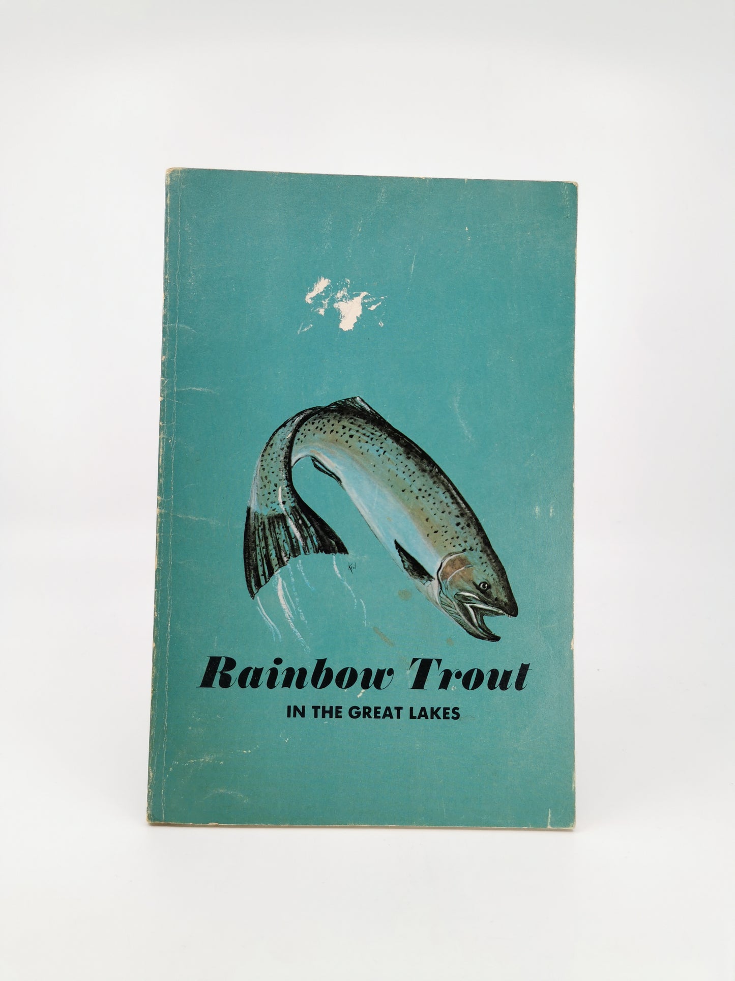 Rainbow Trout In The Great Lakes