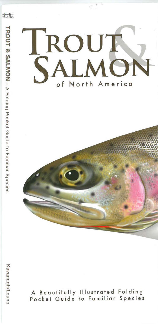 Trout and Salmon of North America